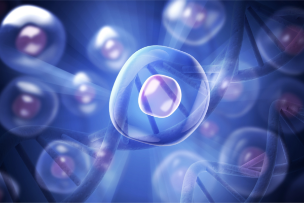 Neurociencia, medicina, suplementación y endocrinología